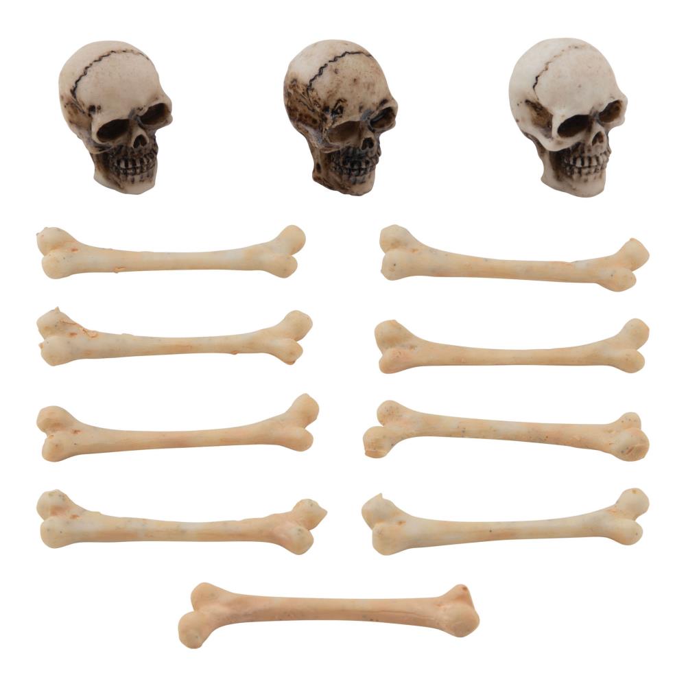 Skull & Bones by Tim Holtz - NTS