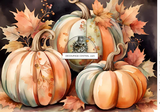 The Last Pumpkin Rice Paper (DC154) - Decoupage Central