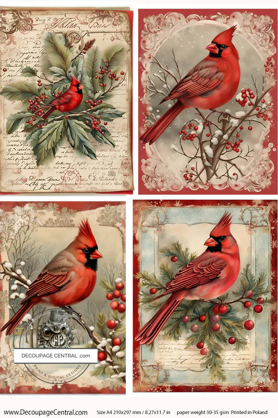 Cardinal Collection (DC115) Rice Paper - Decoupage Central