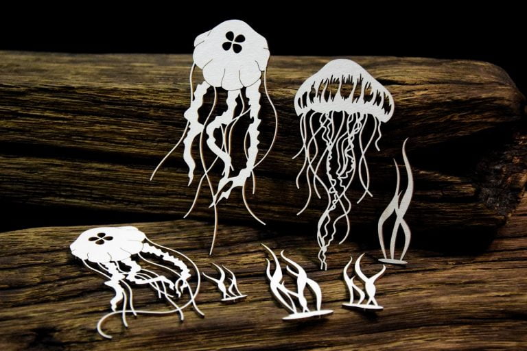 Chipboard Tropical Adventure, Jellyfish - SnipArt