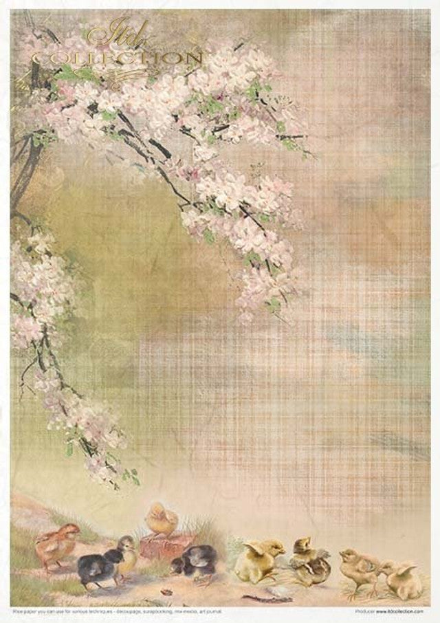 Spring Impressions Paper Pack (11 Papers) - Decoupage Queen