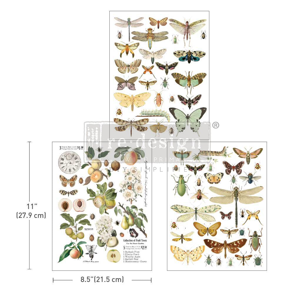 Bug Whisperer, 8.5"x11" - ReDesign Middy Decor Transfer
