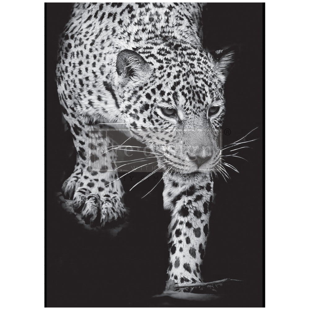 Feline Gaze A1 Decoupage Fiber Paper - ReDesign with Prima