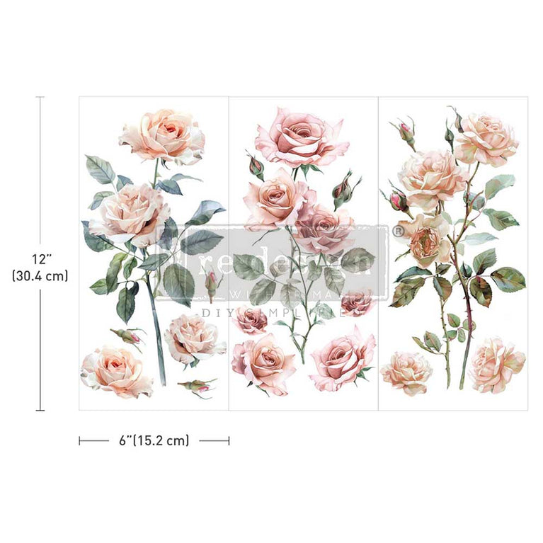 Blush Symphony Small Decor Transfer - ReDesign with Prima