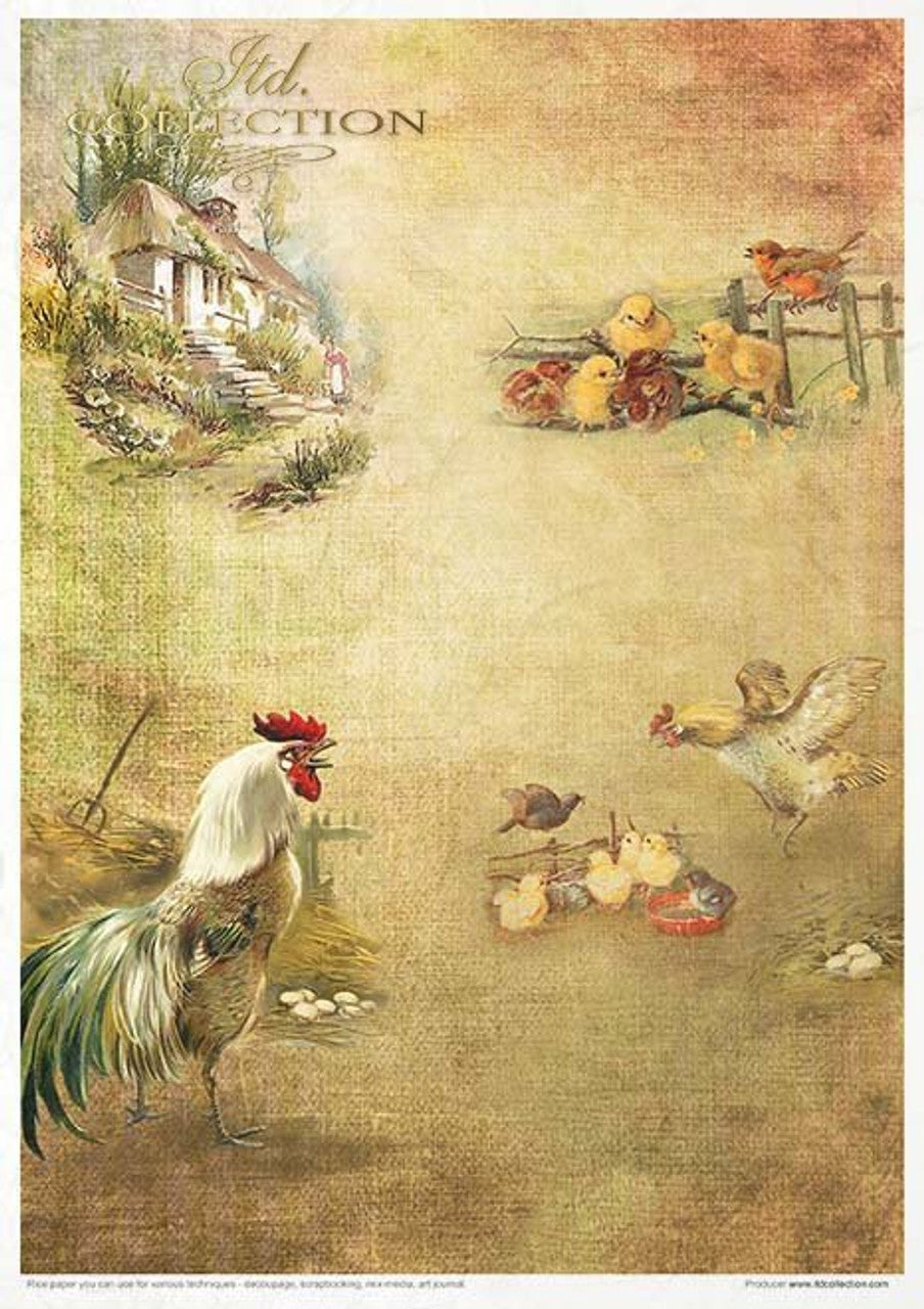 Spring Impressions Paper Pack (11 Papers) - Decoupage Queen