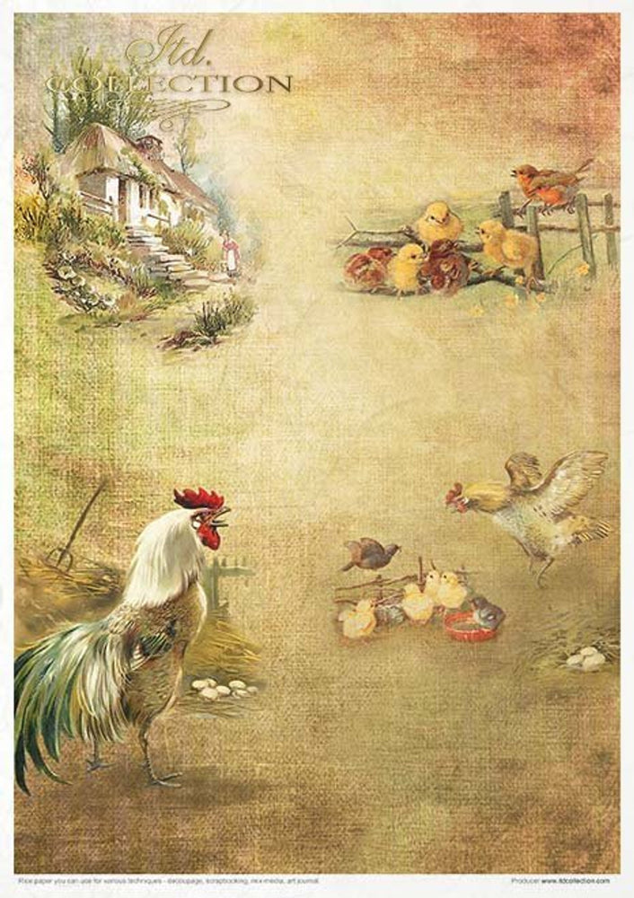 Spring Impressions Paper Pack (11 Papers) - Decoupage Queen