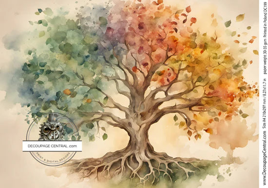 Tree of Seasons A4 Rice Paper - Decoupage Central