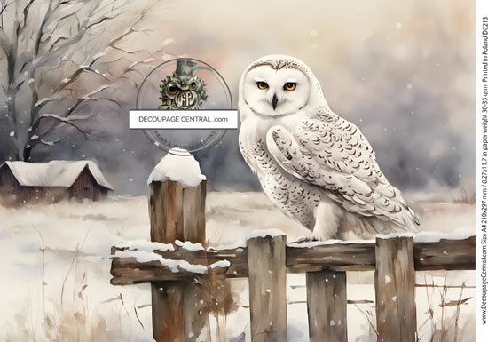 Snowy Owls Rice Paper (DC213) - Decoupage Central