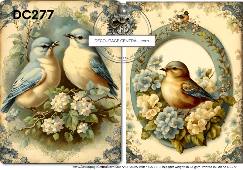 Spring Birds Rice Paper - Decoupage Central