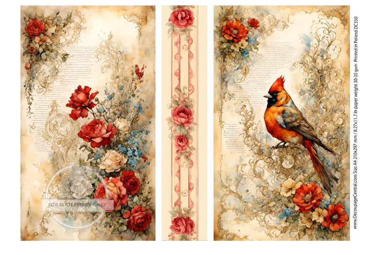 Cardinals Story Rice Paper (DC350) - Decoupage Central