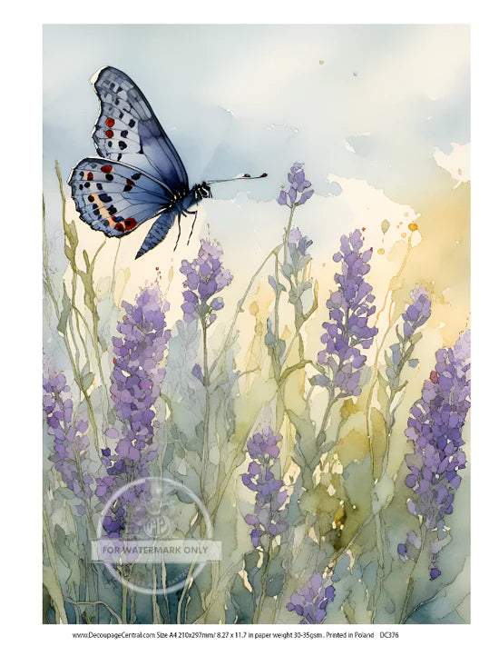 Lavender Butterfly Rice Paper (DC376)- Decoupage Central
