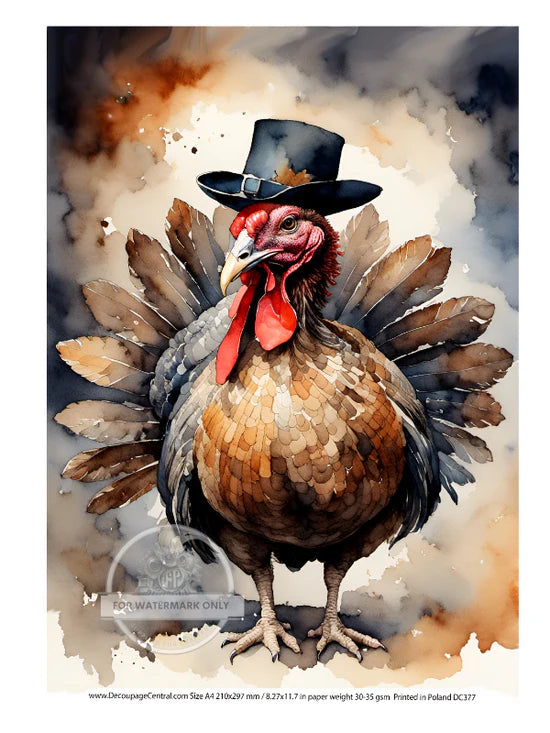 Pilgrim Turkey Rice Paper (DC377)- Decoupage Central