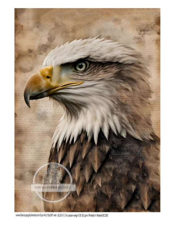 Eagle Portrait Rice Paper (DC382)- Decoupage Central
