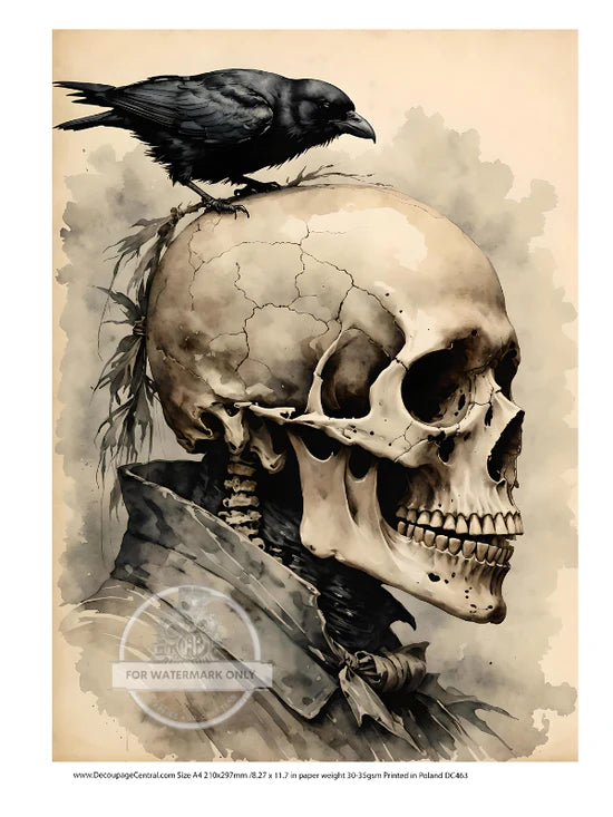 Skeleton & Crow Rice Paper - Decoupage Central