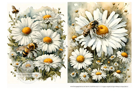 Daisies & Bees Duo Rice Paper (DC513) - Decoupage Central