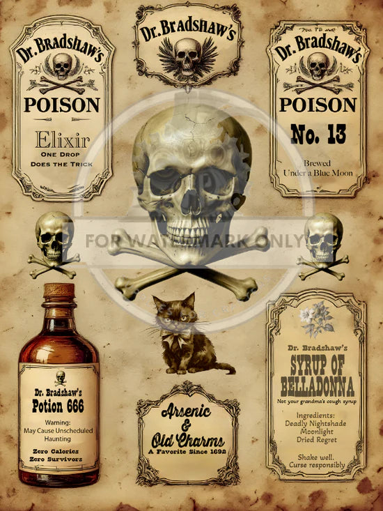 Dr. Bradshaw's Curious Concoctions Rice Paper (DC733) - Decoupage Central