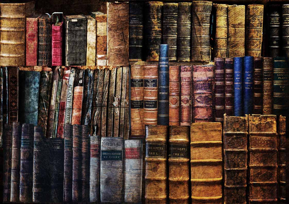 Dusty Library Rice Paper - Decoupage Queen