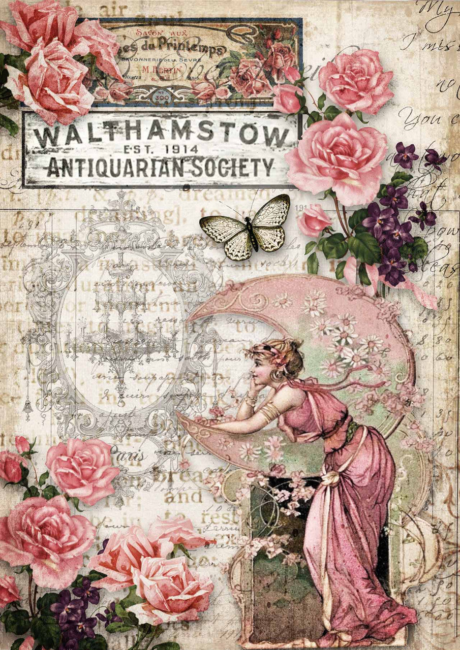 Antiquarian Society Rice Paper - Decoupage Queen