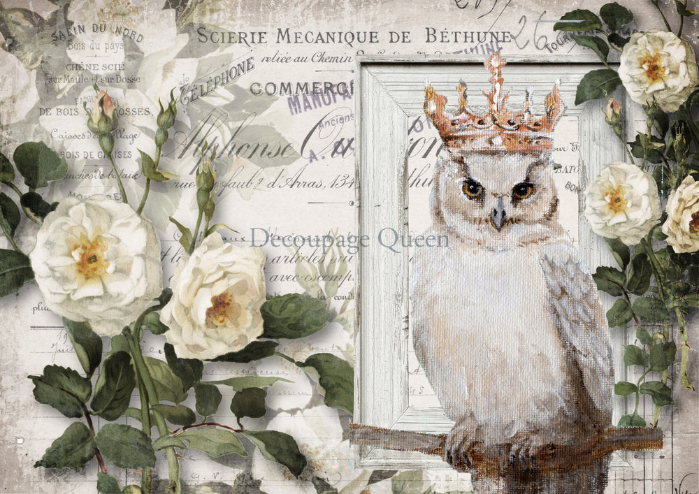 Wise Friend Rice Paper - Decoupage Queen