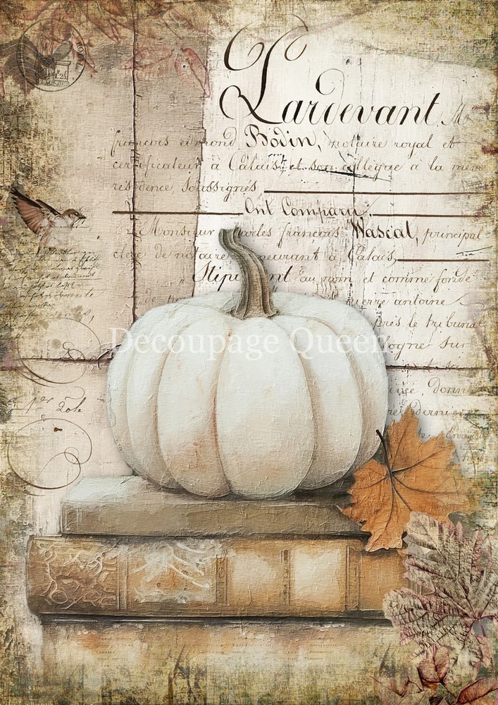 Cottage Pumpkin 1 Rice Paper - Decoupage Queen