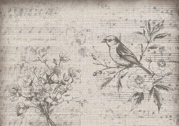 Iveta Ziendina - Burlap Rice Paper