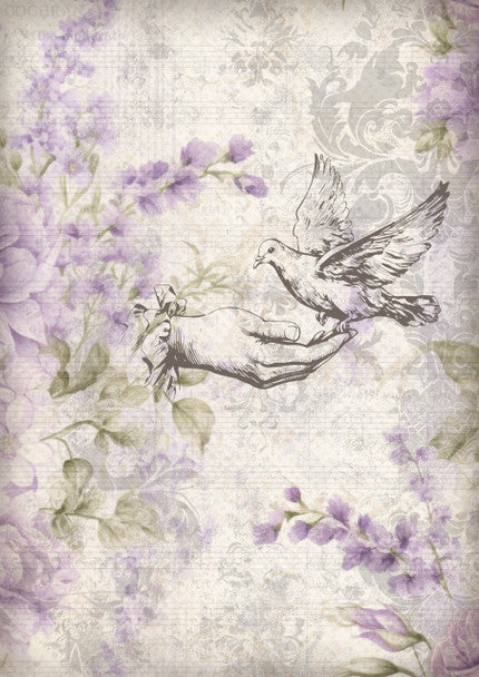 Iveta Ziendina - Dove Rice Paper