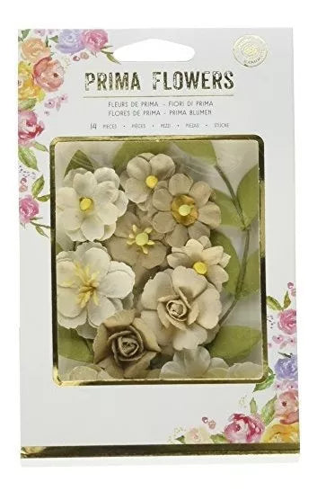 Ransley Prima Flowers - Prima Marketing