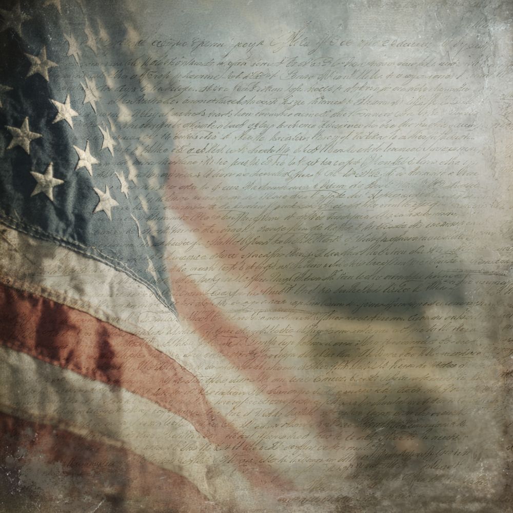 Gentle Glory Tissue Paper - Flippin Furniture