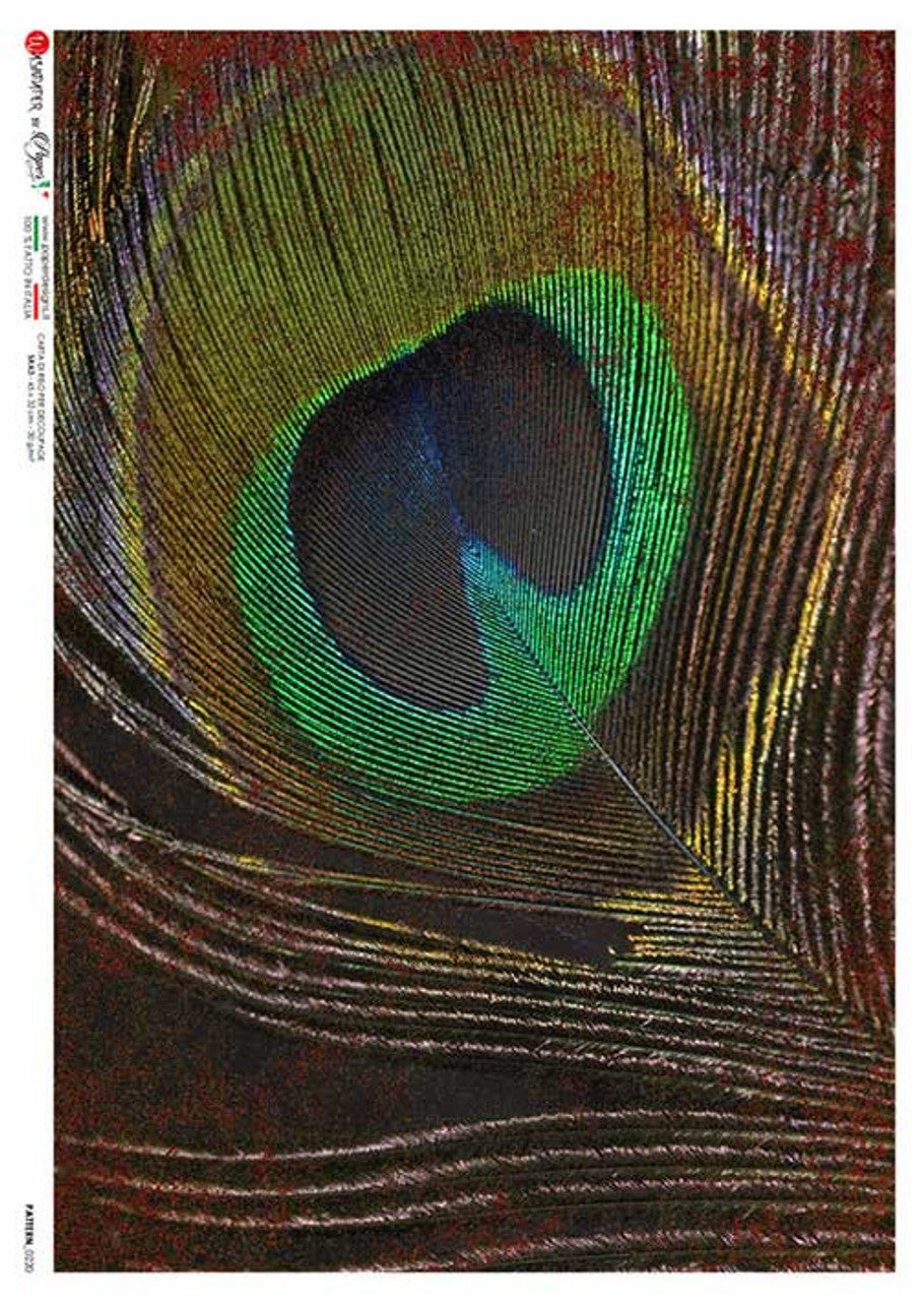 Large Peacock Feather Rice Paper - Paper Designs