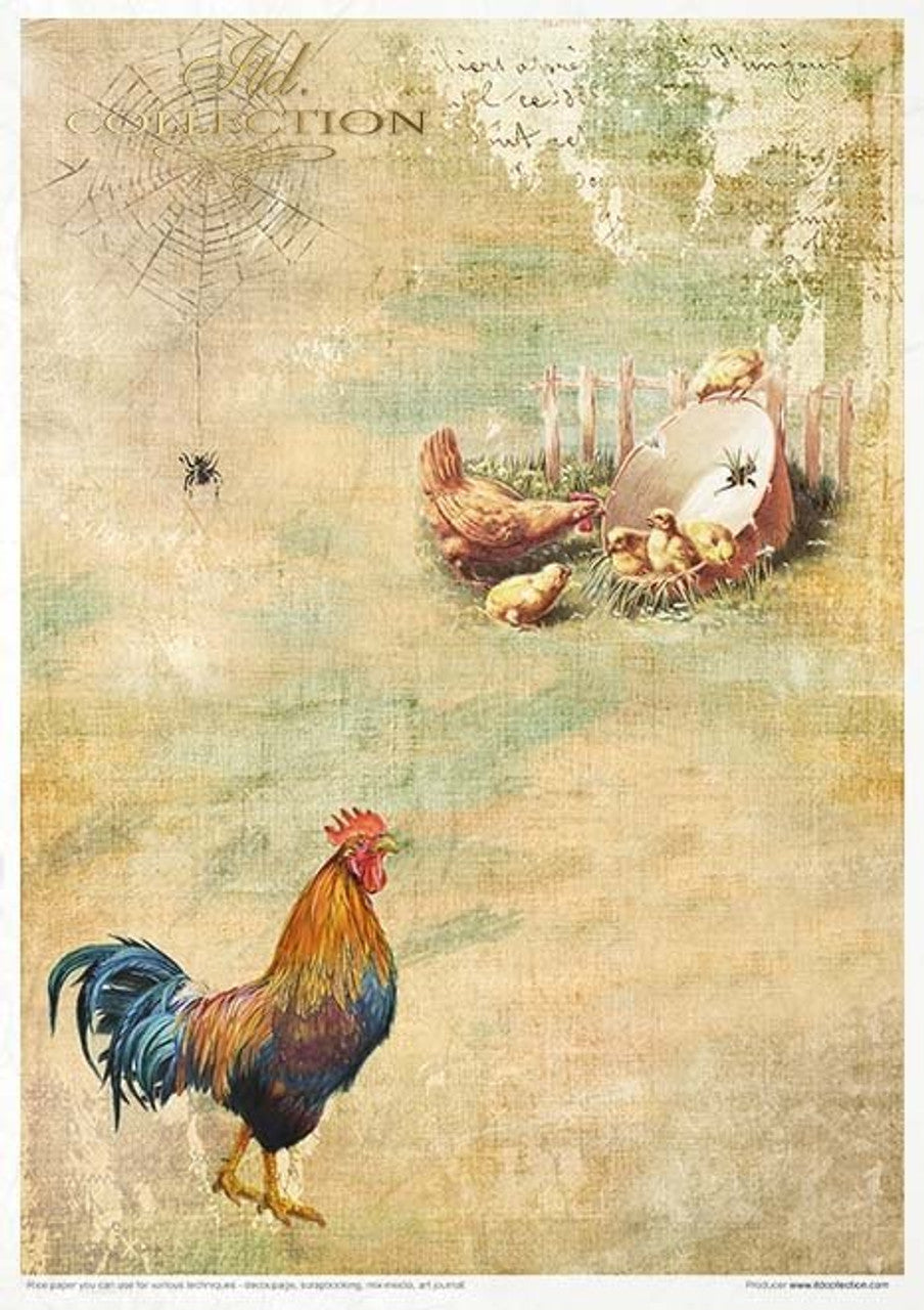 Spring Impressions Paper Pack (11 Papers) - Decoupage Queen
