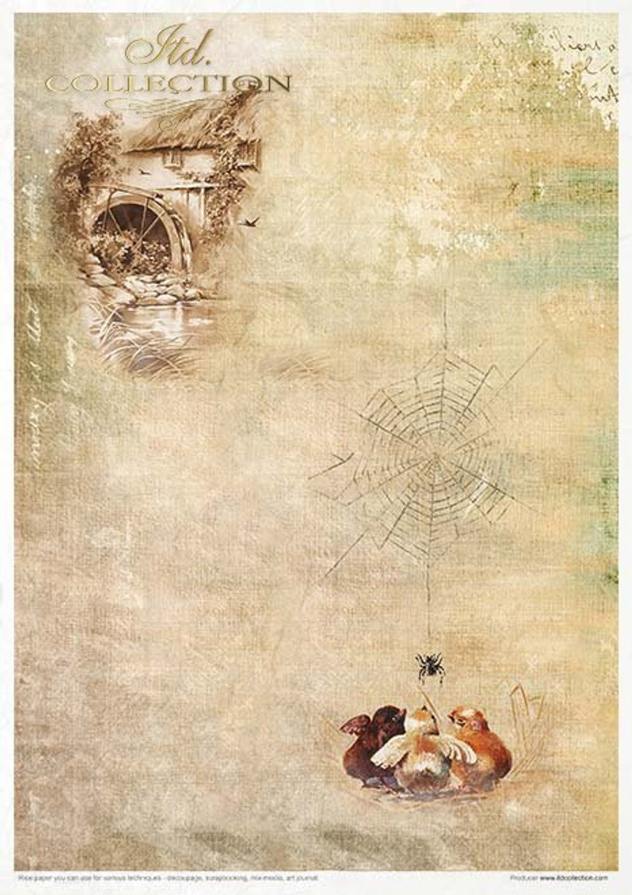 Spring Impressions Paper Pack (11 Papers) - Decoupage Queen