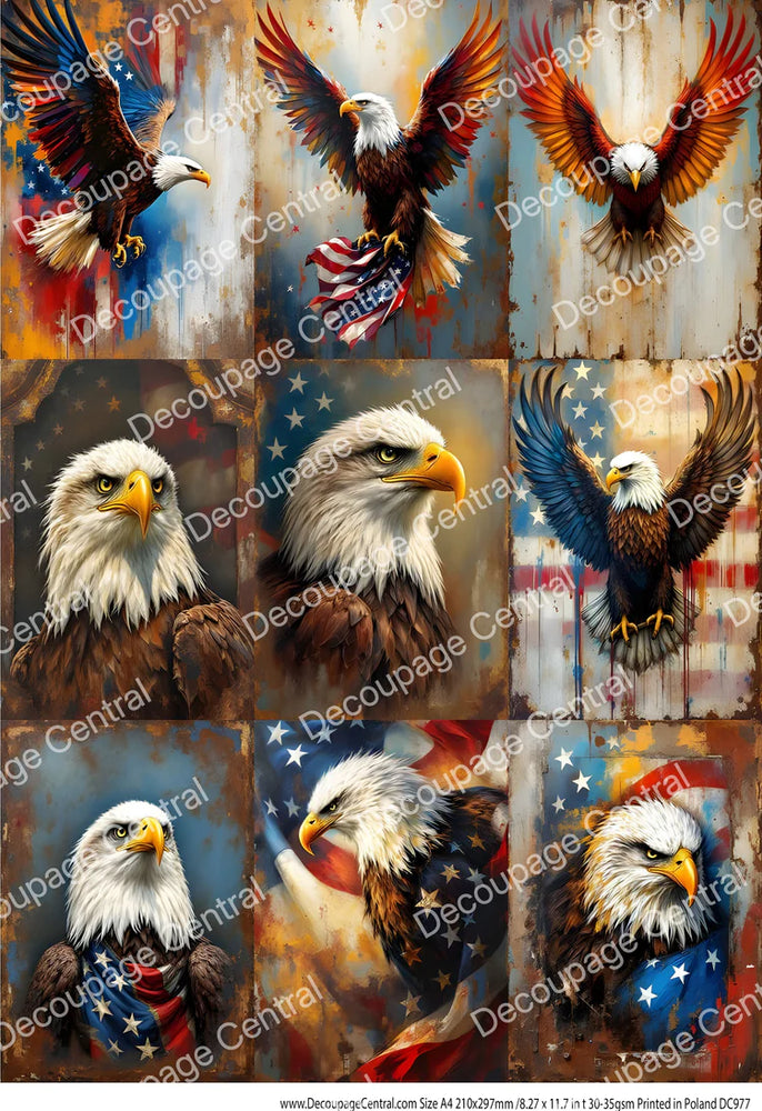 Patriotic Eagle Portrait Collection Rice Paper (DC977) - Decoupage Central