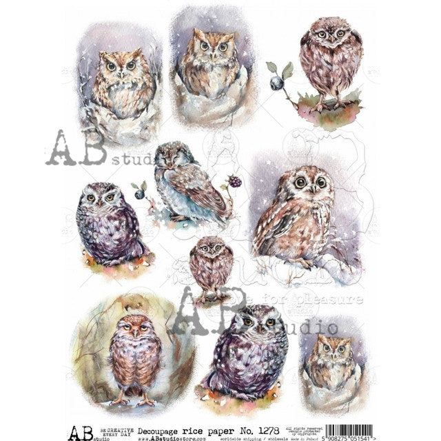Watercolor Owls Rice Paper (#1278) - Decoupage Queen