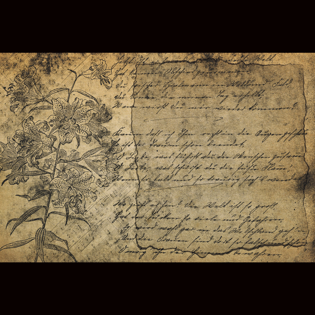 French Script Ephemera Decoupage Tissue - Deborah Bucher
