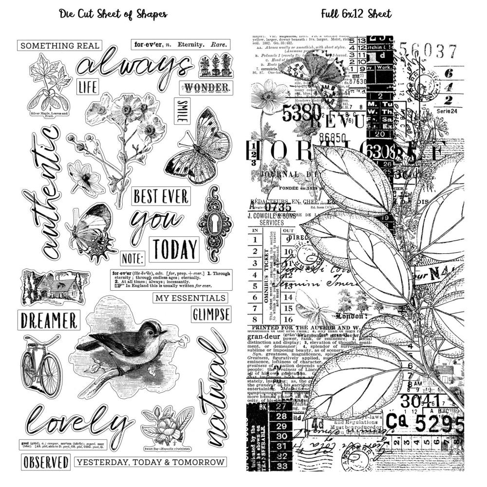 Vintage Artistry Essentials Washi Tape - NTS