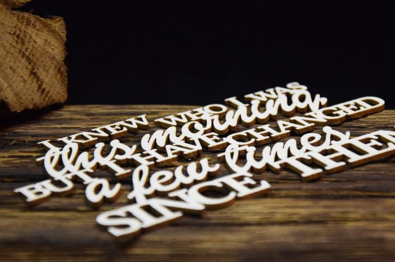 Chipboard Saying (I Knew Who I Was This Morning) - SnipArt