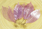 Temple Leaves Muang Lilac - Prima Marketing
