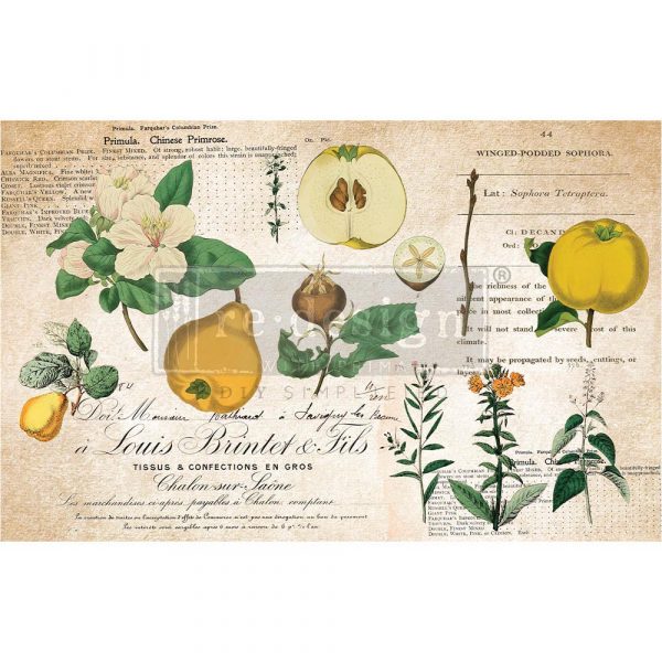 Primrose Decoupage Decor Tissue Paper - ReDesign with Prima