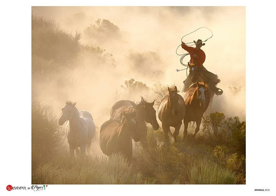 Animals 0025 (Roping Horses) Rice Paper - Paper Designs