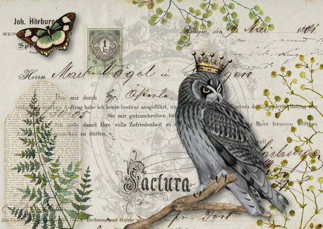 Owl Botanicals Rice Paper- Decoupage Queen (Retired)