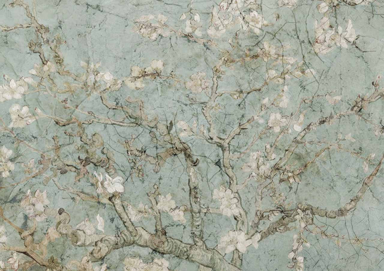Almond Blossoms Rice Paper- Decoupage Queen