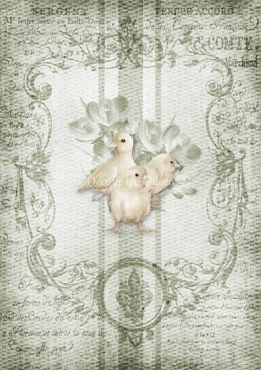 Spring Grain Sack Chicks Rice Paper (Retired) - Decoupage Queen