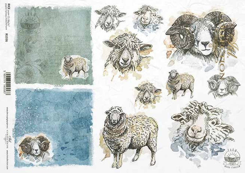 Sheep Portraits (R1556) Rice Paper- ITD Collection