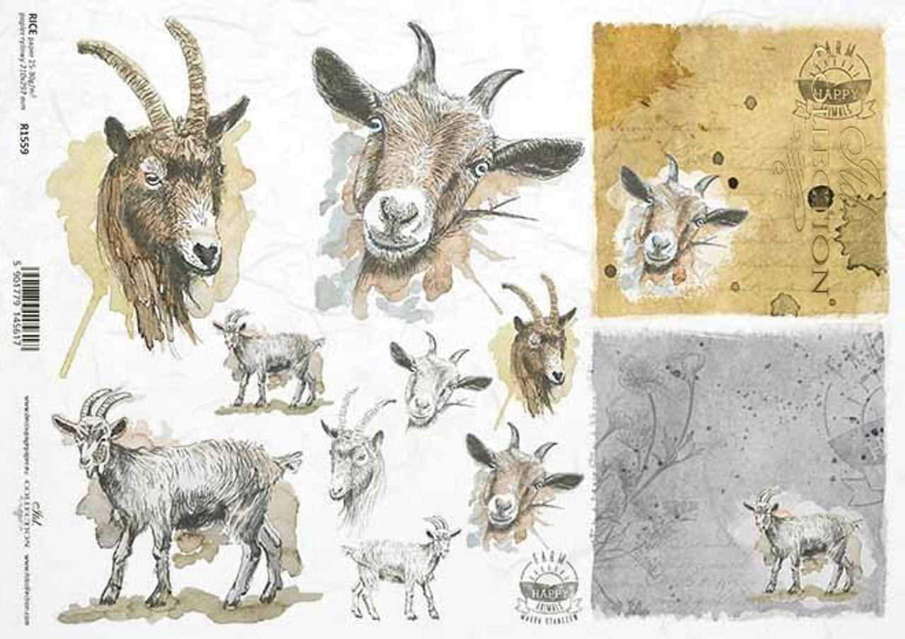 Goat Portraits (R1559) Rice Paper-ITD Collection
