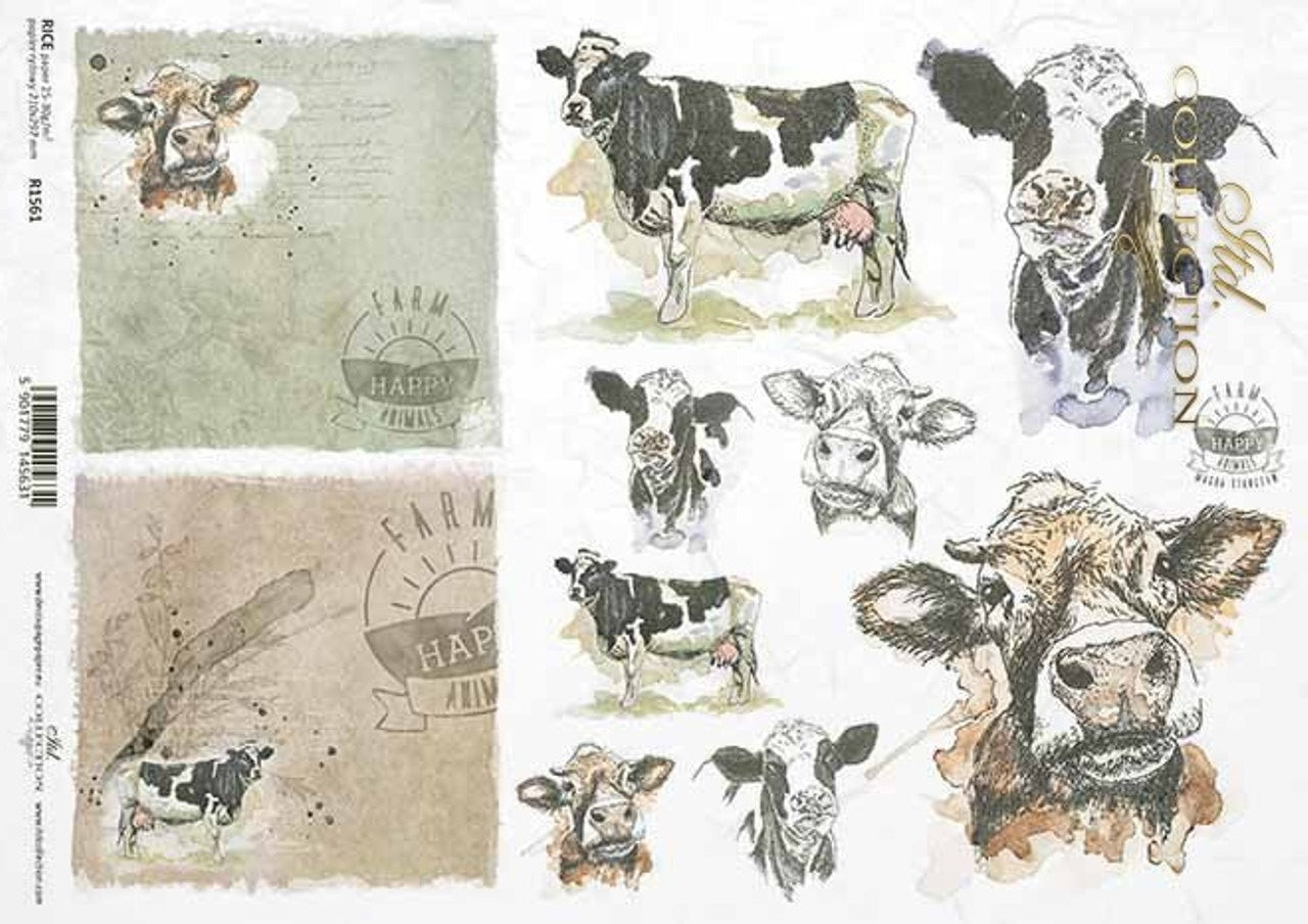 Cow Portraits (R1561) Rice Paper - ITD Portraits