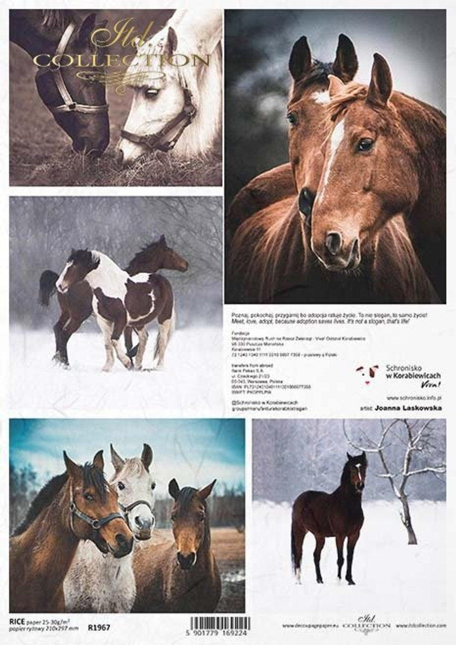 Horse Scenes Rice Paper - ITD Collection