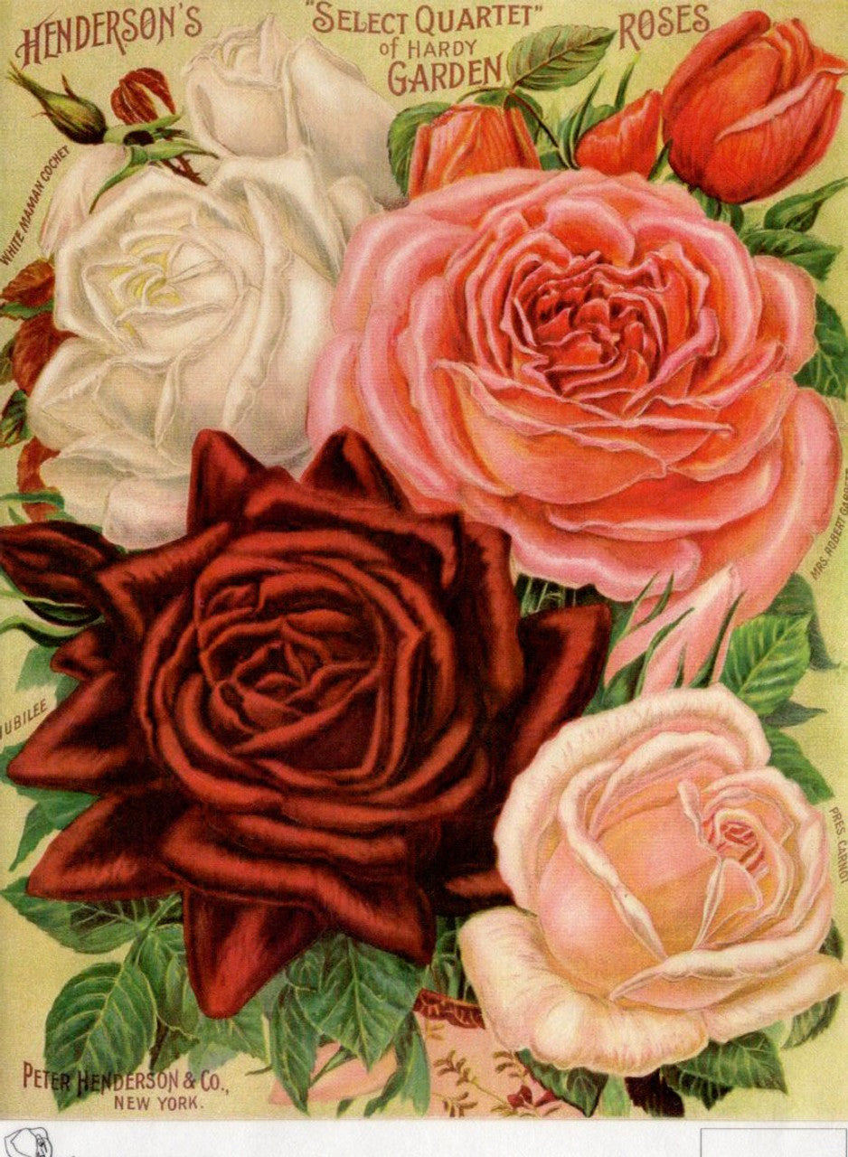 Henderson's Select Quartet of Roses Rice Paper - Calambour