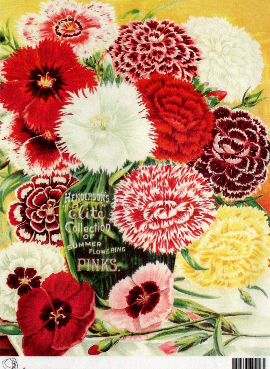 Henderson's Elite Collection of Summer Flowering Pinks Rice Paper - Calambour