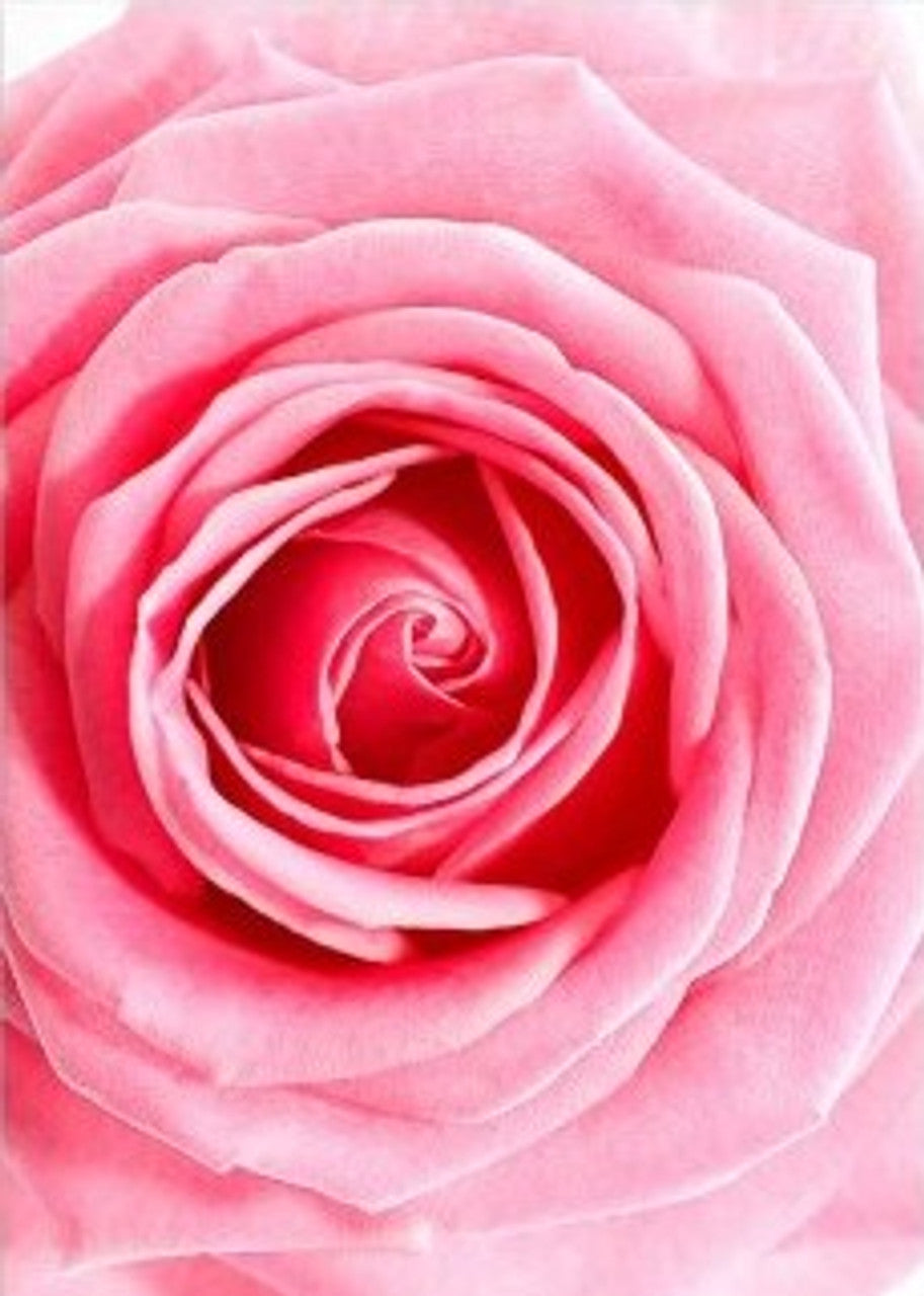 Pink Rose Rice Paper - Paper Designs