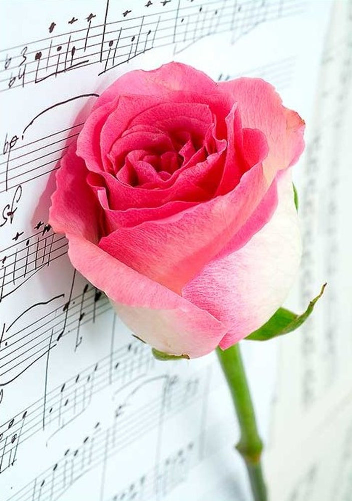 Musical Rose Rice Paper - Paper Designs